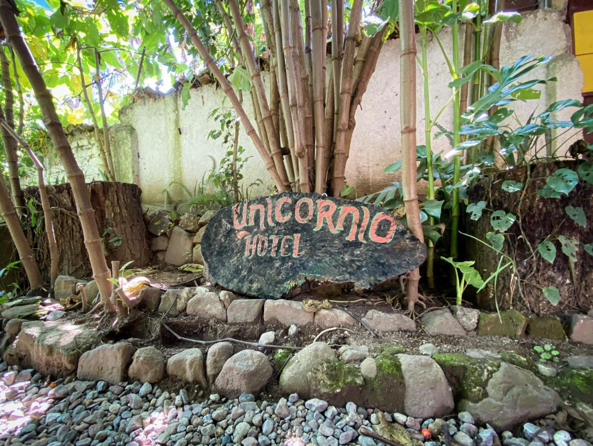 Unicorn Reborn - Peaceful Rentals San Marcos La Laguna Exterior photo